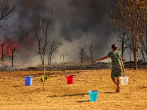 Brasília, DF 15-09-2024 Um Incendio atingiu o Parque Nacional de Brasília. Bombeiros e populares tentavam conter as chamas Foto: Fabio Rodrigues-Pozzebom