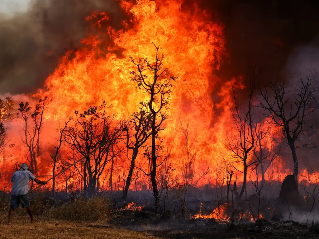 Brasília, DF 15-09-2024 Um Incendio atingiu o Parque Nacional de Brasília. Bombeiros e populares tentavam conter as chamas Foto: Fabio Rodrigues-Pozzebom