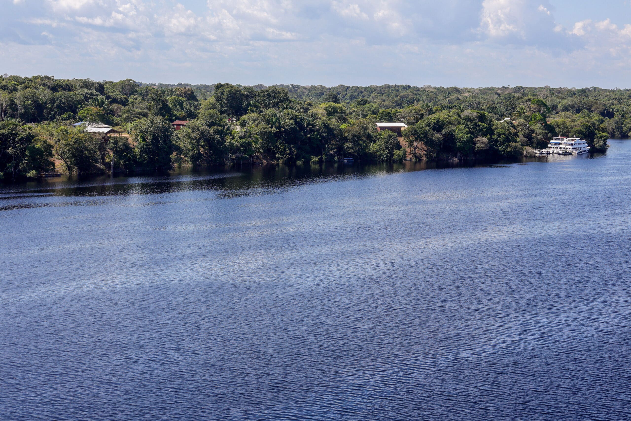 Floresta margeada pelo Rio Negro Foto: Fabio Rodrigues-Pozzebom